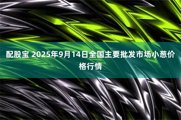 配股宝 2025年9月14日全国主要批发市场小葱价格行情